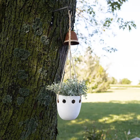 Hanging Terracotta Planter / White