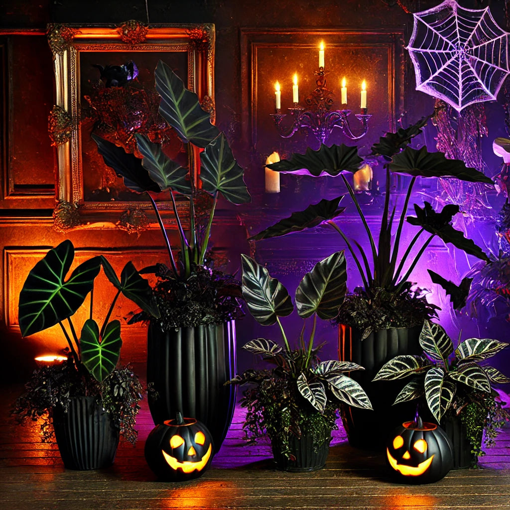 10 Best Goth Plants for Halloween