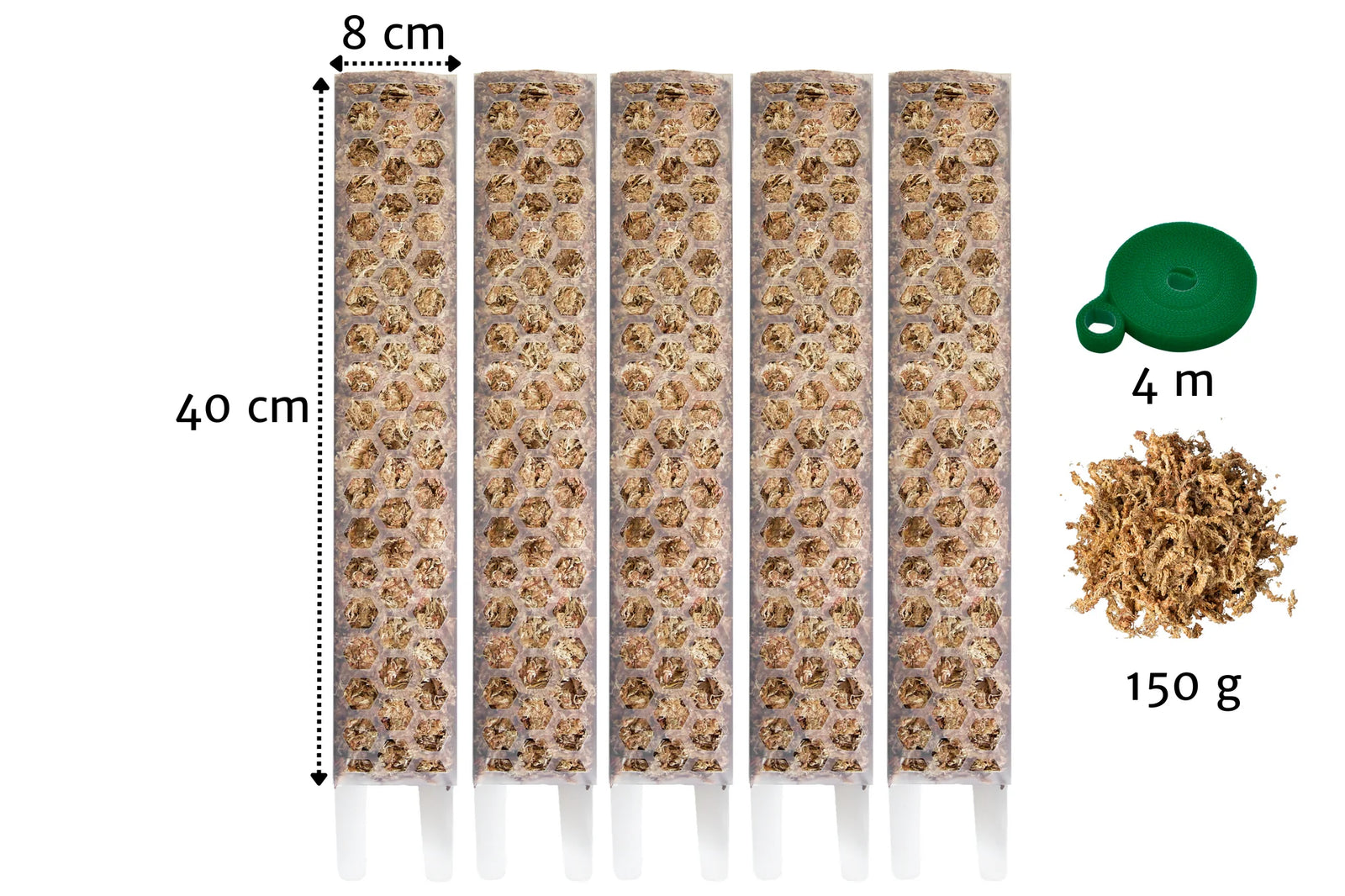 A to Z of using moss poles for your houseplants