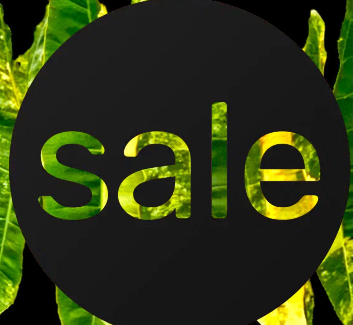Sale