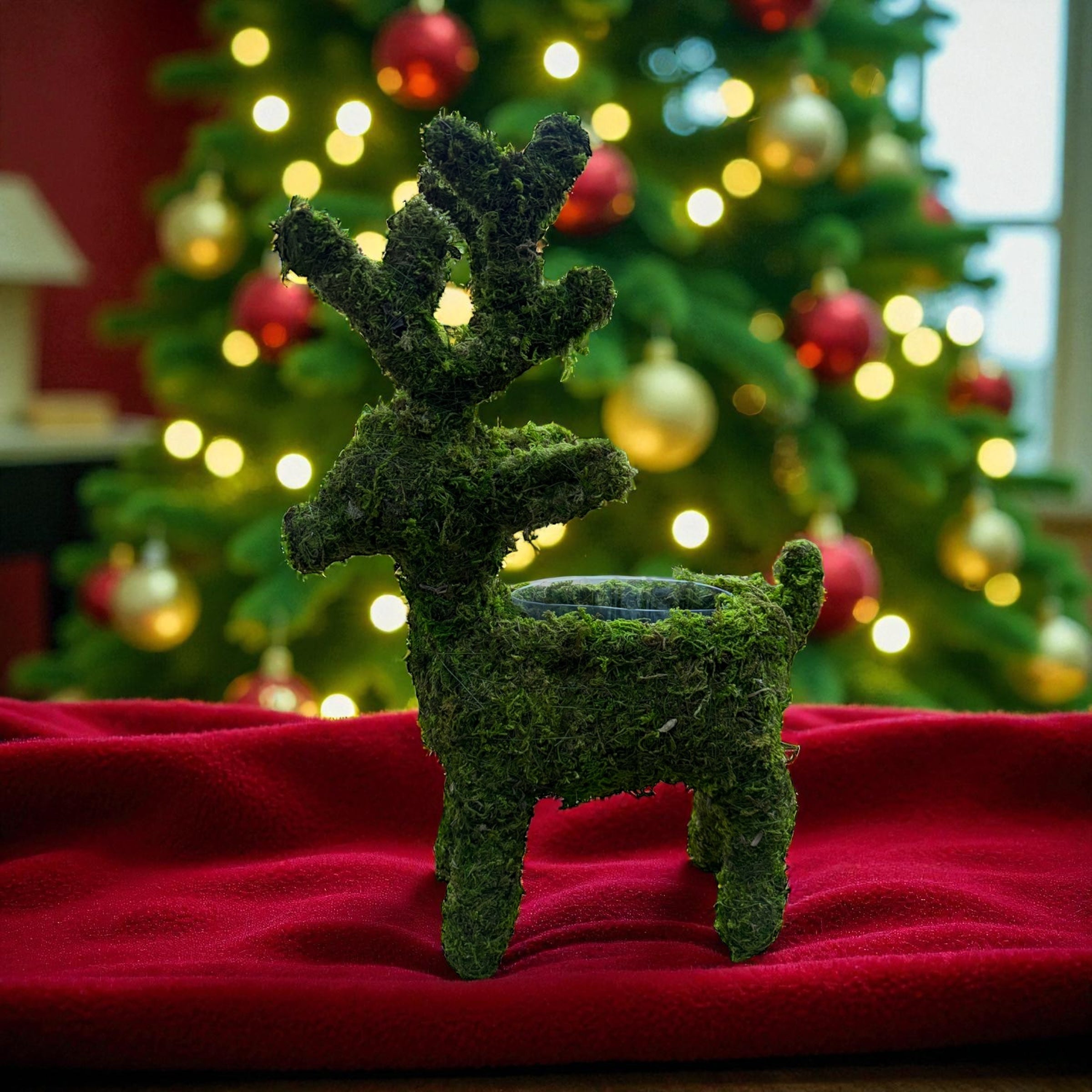 Christmas Reindeer Planter