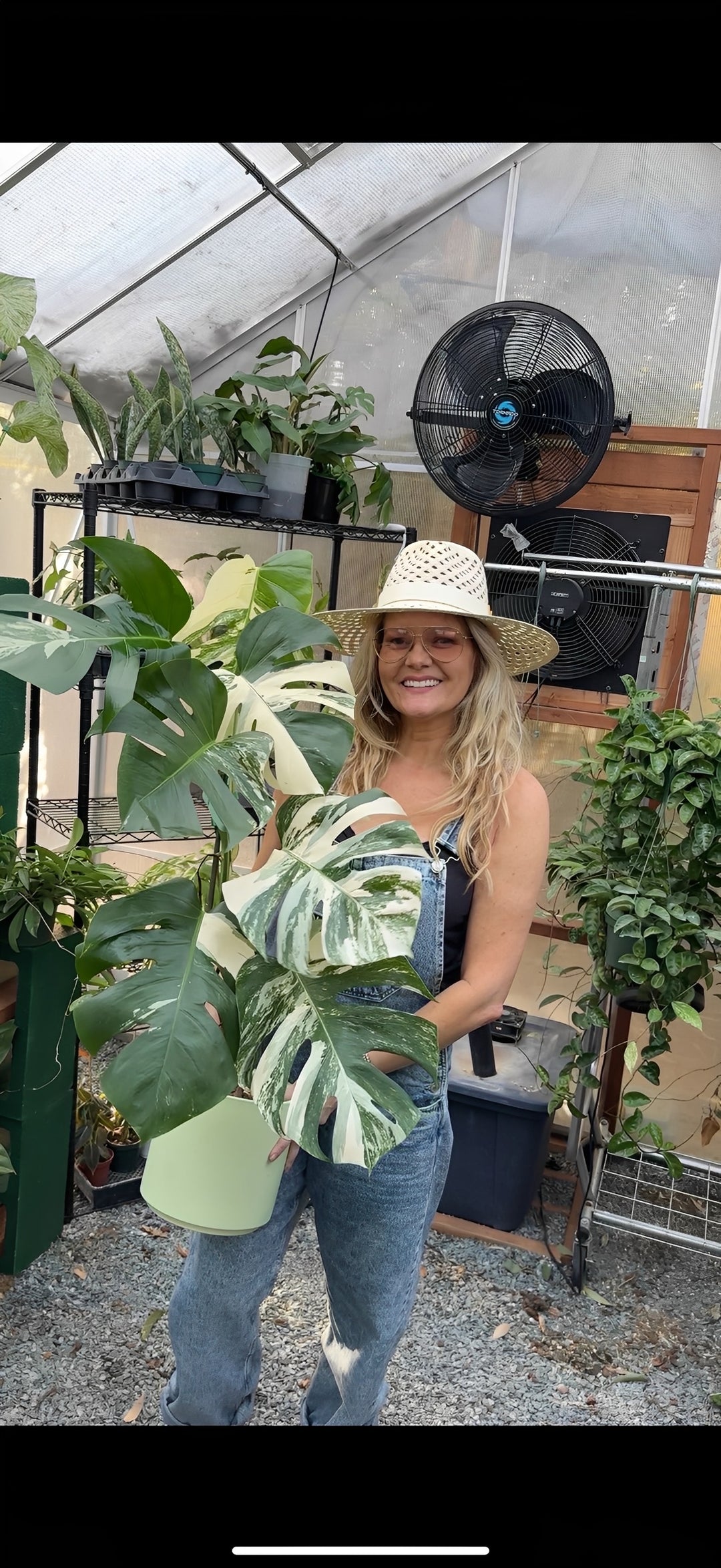 Owner Karli Heineman with rare Albo Monstera