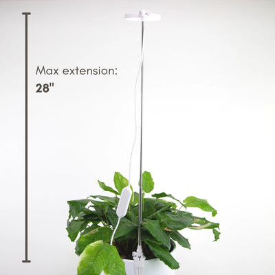Adjustable LED Plant Grow Light - San diego california