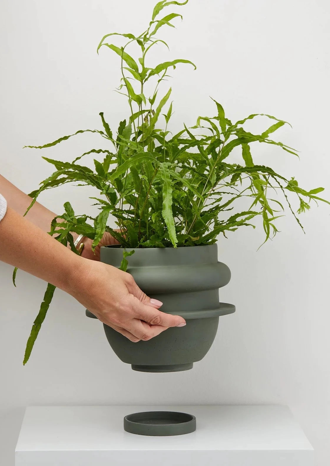 Capra Designs Bud Planter - Thumbnail 4