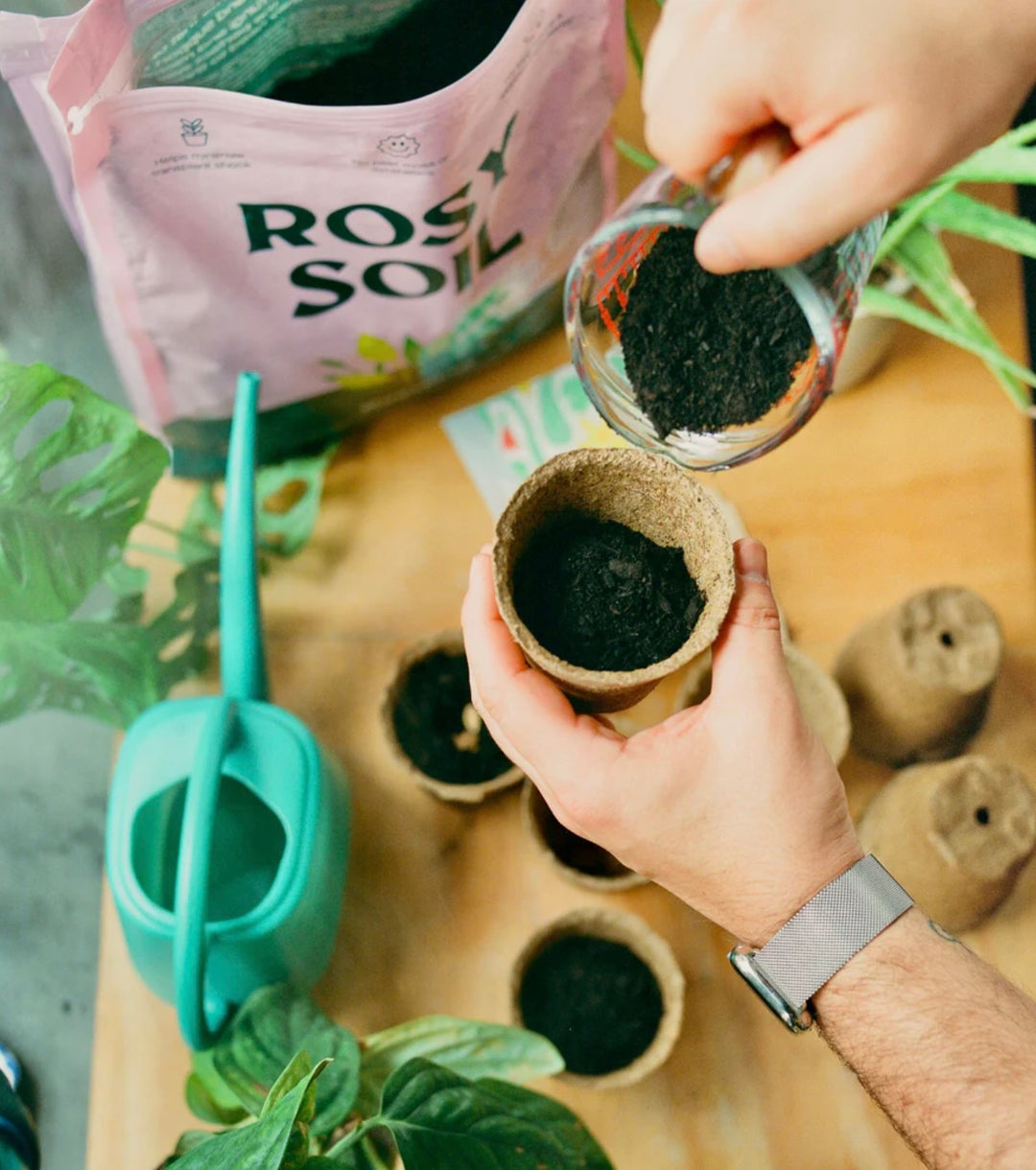 Organic Seedling and Propagation Mix