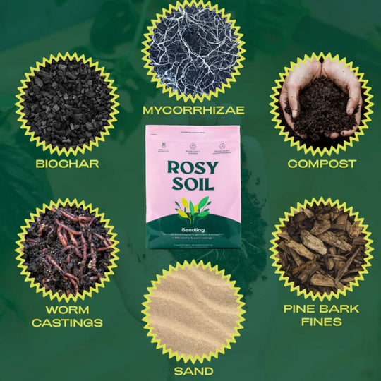 Organic Seedling and Propagation Mix for sale