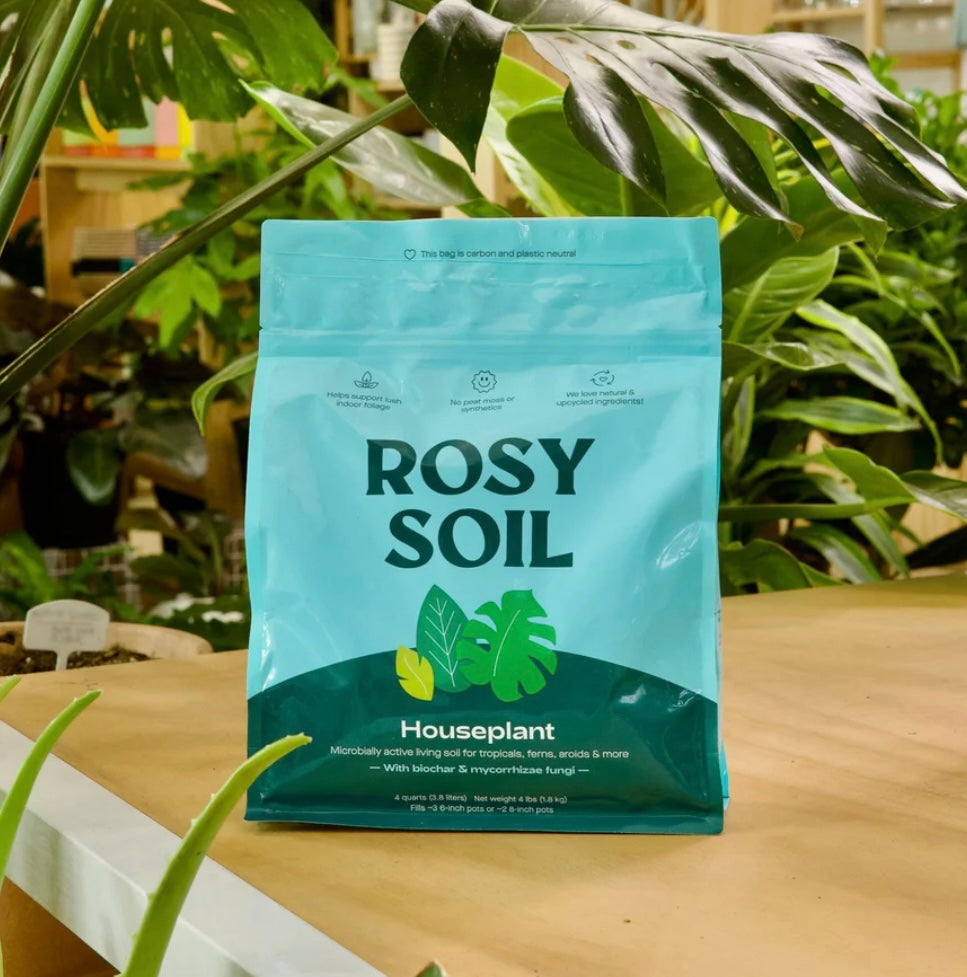 rosy soil