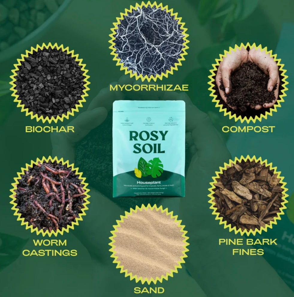Rosy Soil product with components like biochar, mycorrhizae, compost, worm castings, sand, and pine bark fines displayed on a green background.