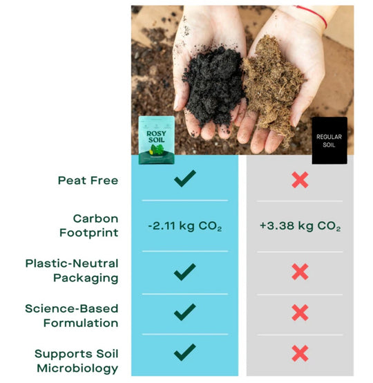 Comparison chart of Rosy Soil and Regular Soil with hands holding soil samples.