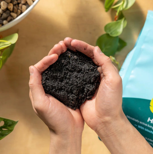 Organic Potting Soil Mix, Indoor, Houseplants & Herbs