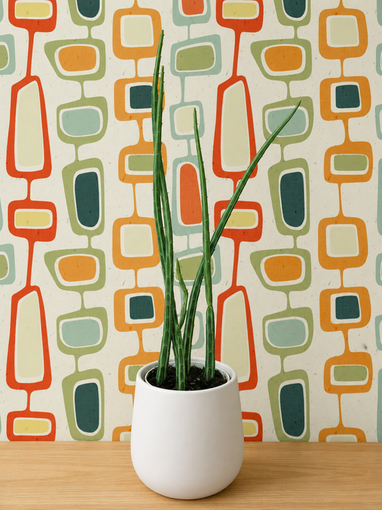 Extra Tall Pickle Cactus for sale 