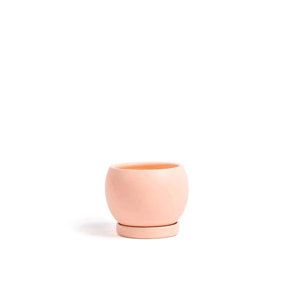 Pink Rounded Planter