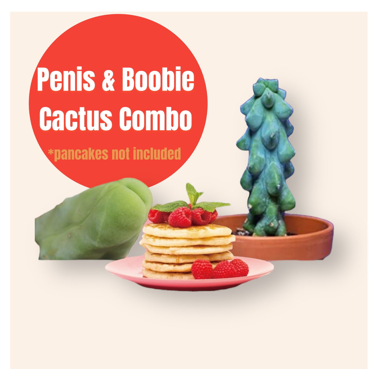 Boobie and Penis Cactus Combo