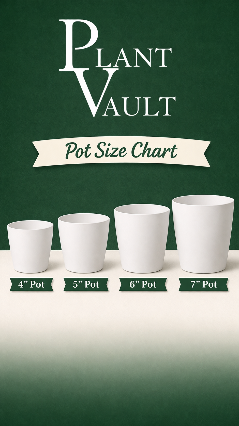 Aglaonema Suksom Jaipong