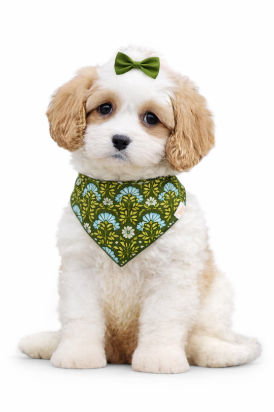 Cute dog bandana 