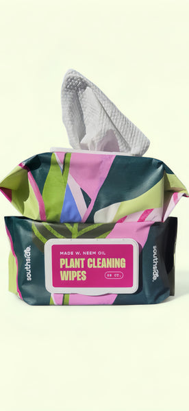 leaf wipes for indoor plants Plant Cleaning Wipes with Neem Oil – Plant Vault