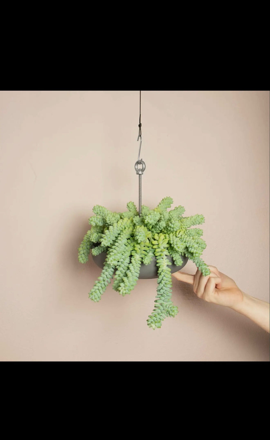 Example Hanging Planter System For Plant Pots