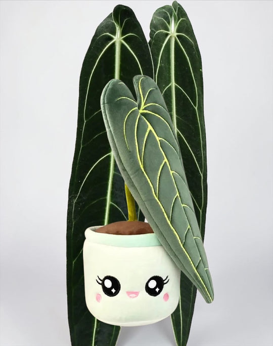 Plant stuffed animal 