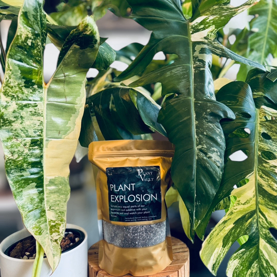 Plant Explosion - Soil Mix