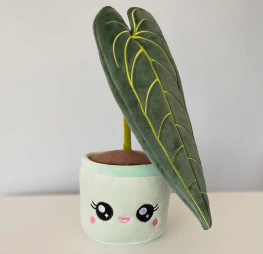 Queen Anthurium rare plant plushie