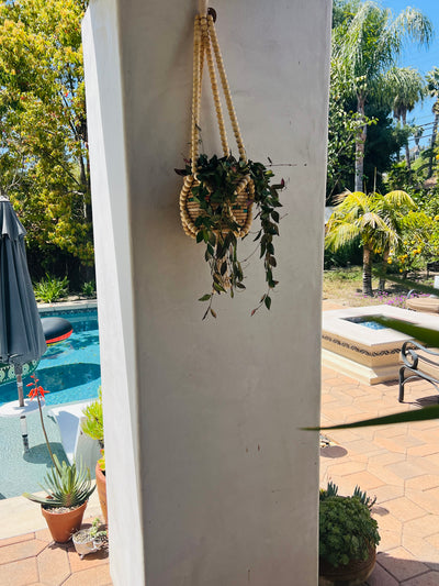Hanging Planter Pot with Woven Planter - Plant Vault Encinitas California